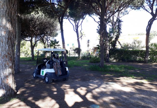 Appartement à Vilamoura - T1 Sol Nasc PISCINA  WI-FI 10MIN MARINA 4 PESSOAS