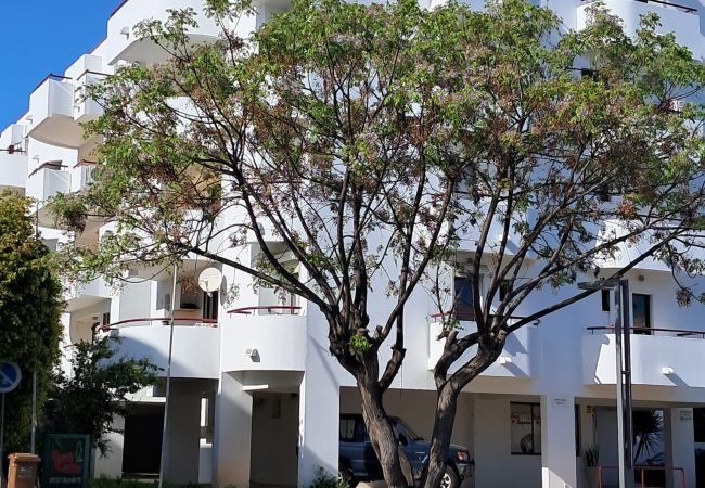 Appartement à Vilamoura - T1 Encantador Vilamoura Centro 4 pax